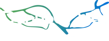 DanubeData